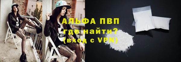 ГАЛЛЮЦИНОГЕННЫЕ ГРИБЫ Строитель