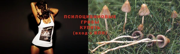 mix Струнино