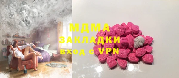 ГАЛЛЮЦИНОГЕННЫЕ ГРИБЫ Строитель