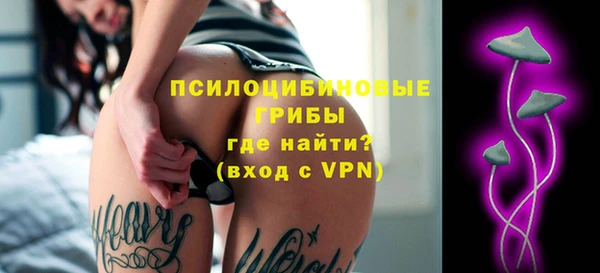ГАЛЛЮЦИНОГЕННЫЕ ГРИБЫ Строитель