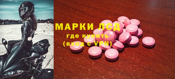 ГАЛЛЮЦИНОГЕННЫЕ ГРИБЫ Строитель