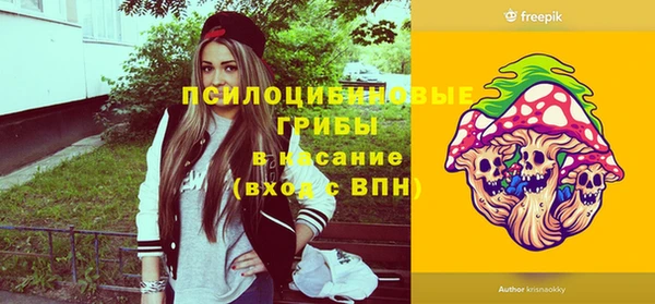 герыч Ступино