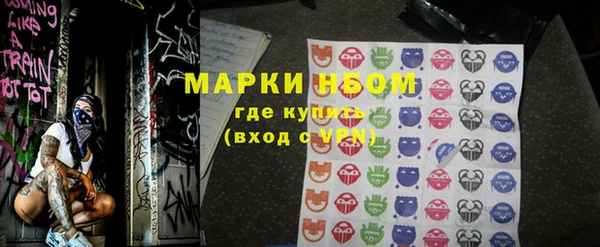 ГАЛЛЮЦИНОГЕННЫЕ ГРИБЫ Строитель