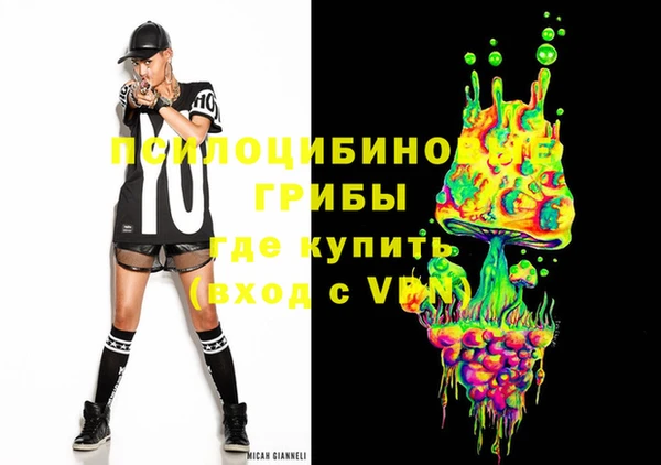 ГАЛЛЮЦИНОГЕННЫЕ ГРИБЫ Строитель