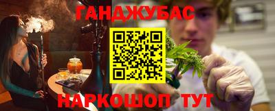 сатива Гатчина