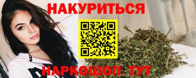 сатива Гатчина
