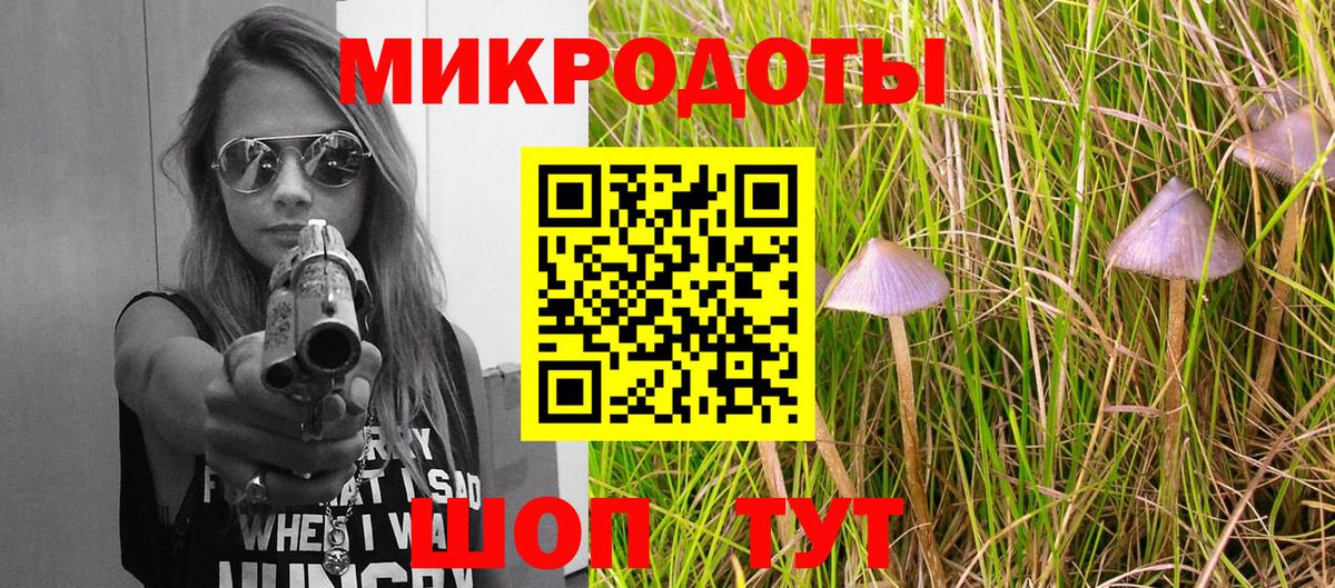 Киров  Псилоцибиновые грибы мицелий  Вход с VPN 